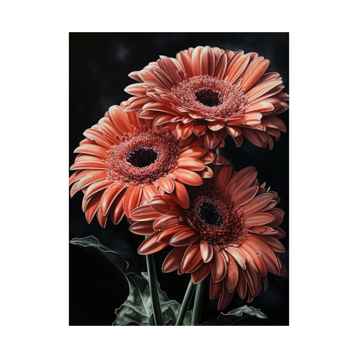 Coral Gerbera Daisy Blooms Bold Dark Background Floral Art Poster - Image 4