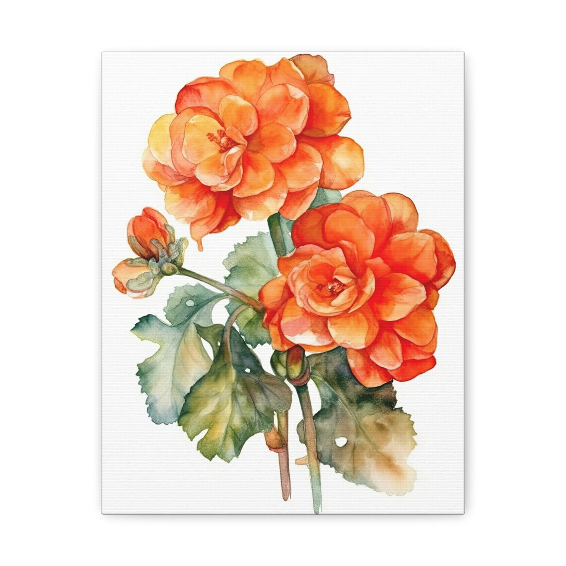 Orange Begonia Double Blooms Watercolor Flower Botanical Art Print - Image 2