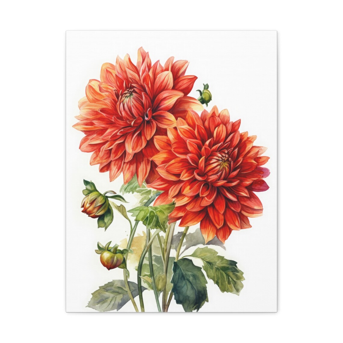 Burnt Orange Dahlia Blooms Watercolor Botanical Floral Poster