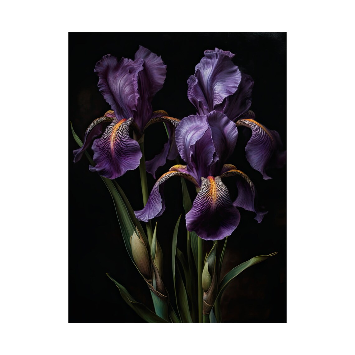 Purple Iris Violet Blooms Gold Beards Dark Dramatic Floral Poster - Image 4