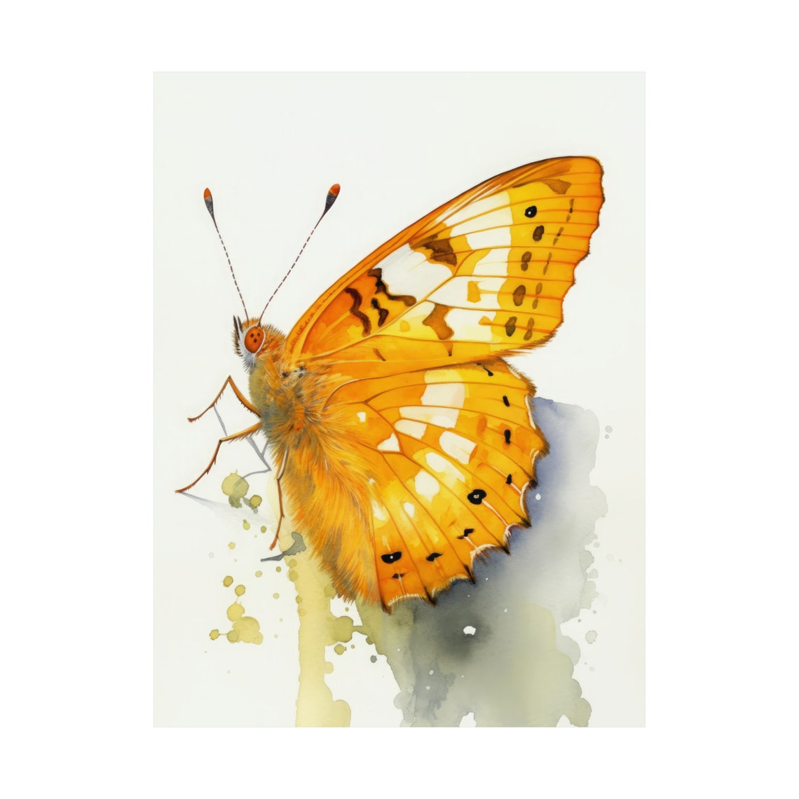 Orange Sulphur Butterfly Art Print Butterfly Home Dcor Watercolor Butterfly Painting Insect Wall Art Nature Lover Butterflies Artwork - Image 4