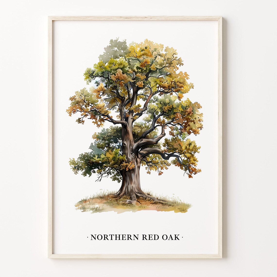 Northern Red Oak Tree Art Print, Botanical Decor