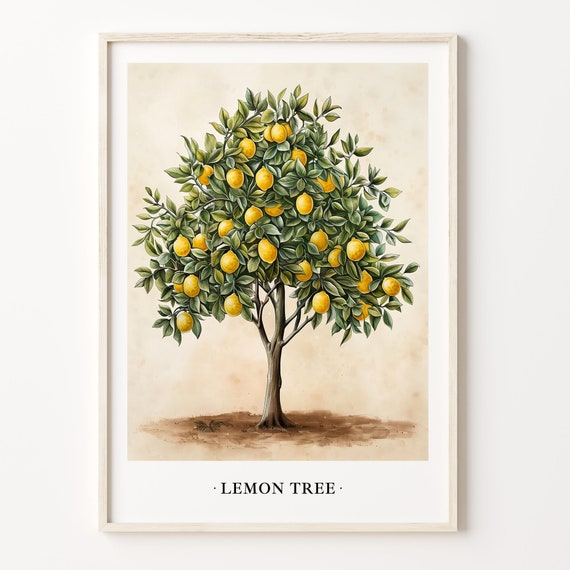 Lemon Tree Art Print Lemon Tree Wall Art Poster Botanical Lemon Tree Decor Kitchen Wall Art Citrus Fruit Print C31 485