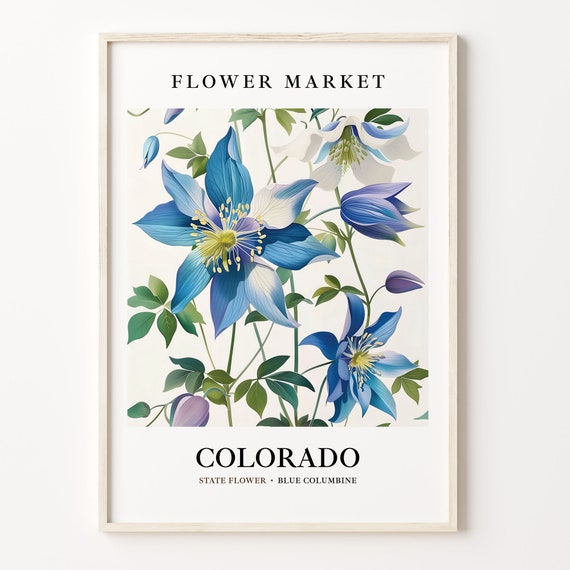 Colorado Blue Columbine Art Print, Neutral Botanical