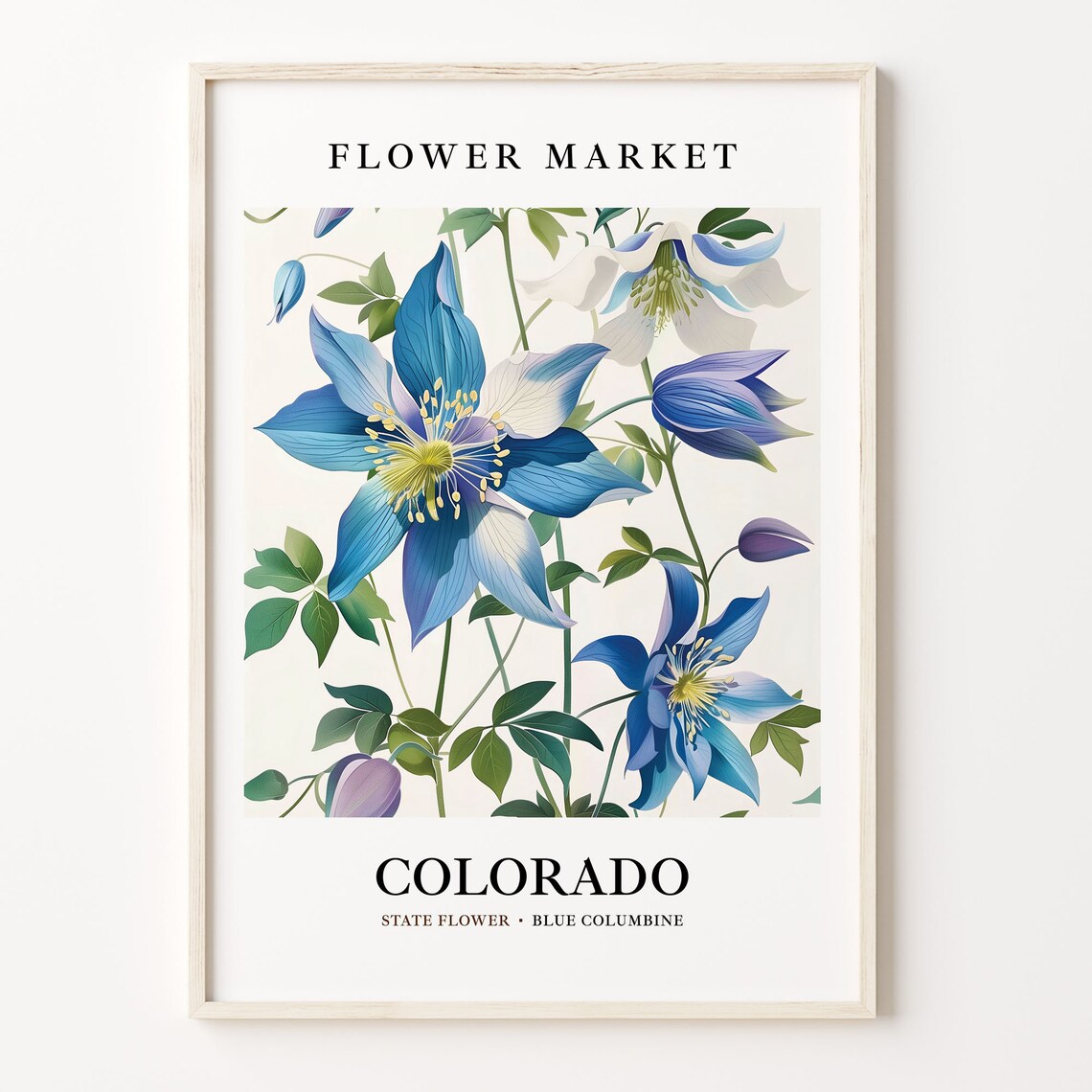 Colorado Blue Columbine Art Print, Neutral Botanical