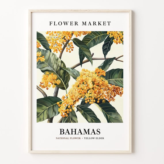 Bahamas Flower Market Art Print Yellow Elder Wall Art Botanical Pastel Artwork Bahamas Flower Decor C31 329