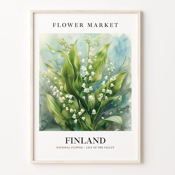 Finland Lily Of The Valley, 1960s Botanical Art Print