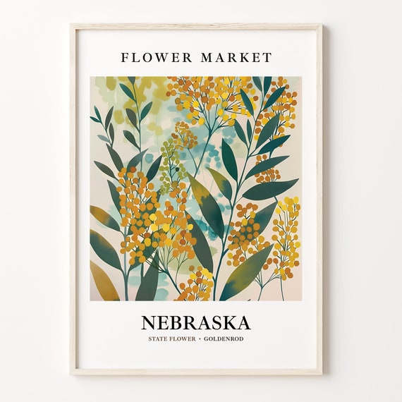 Nebraska State Flower Goldenrod Botanical Art Print