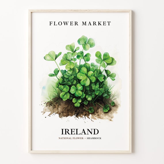 Ireland Shamrock Neutral Botanical Art Print