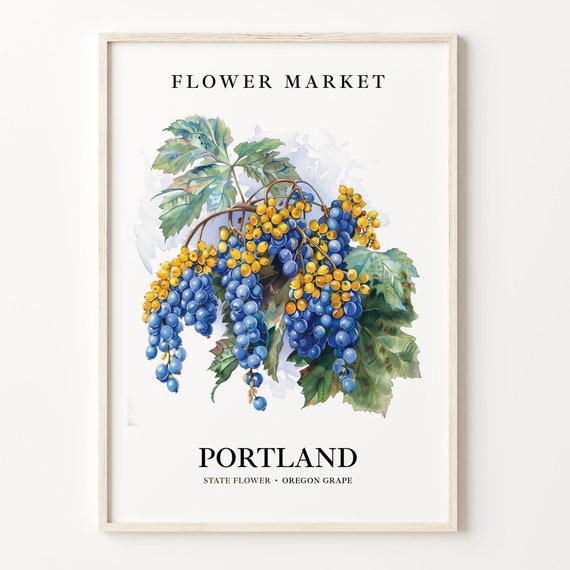 Portland Oregon State Flower Art Print Oregon Grape 1960s Wall Art Neutral Botanical Pastel Portland Flower Market Artwork C31 94