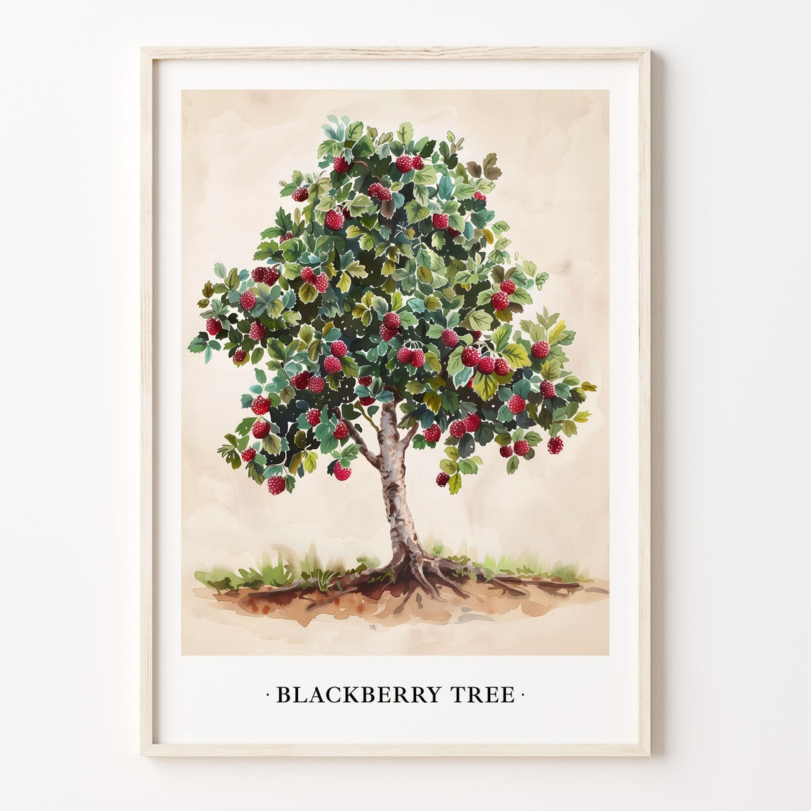 Blackberry Tree Fruit Tree Botanical Watercolor Berry Art Poster