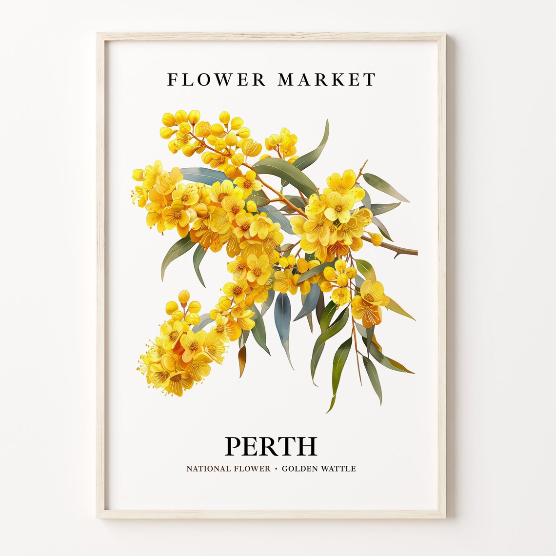 Perth Golden Wattle National Flower Market Botanical Art Poster