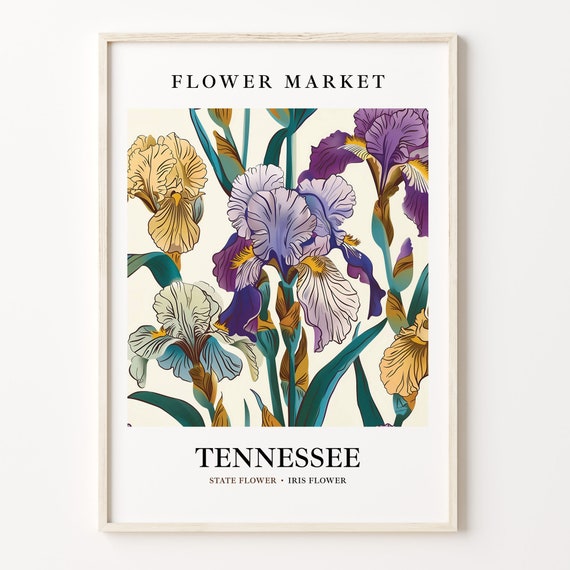 Tennessee State Flower Iris Art Print, Neutral Botanical