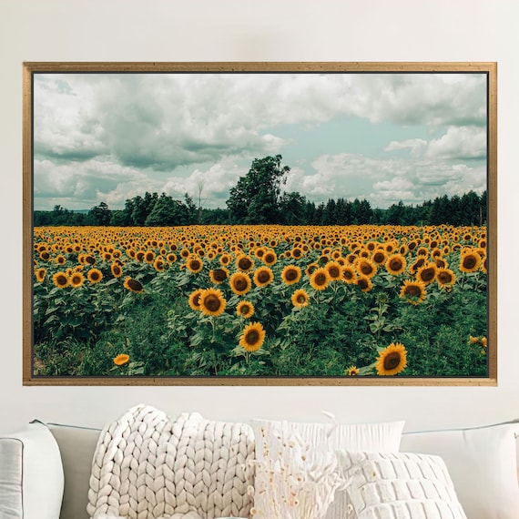 Sunflower Field Golden Landscape Photography Summer Blooms Poster