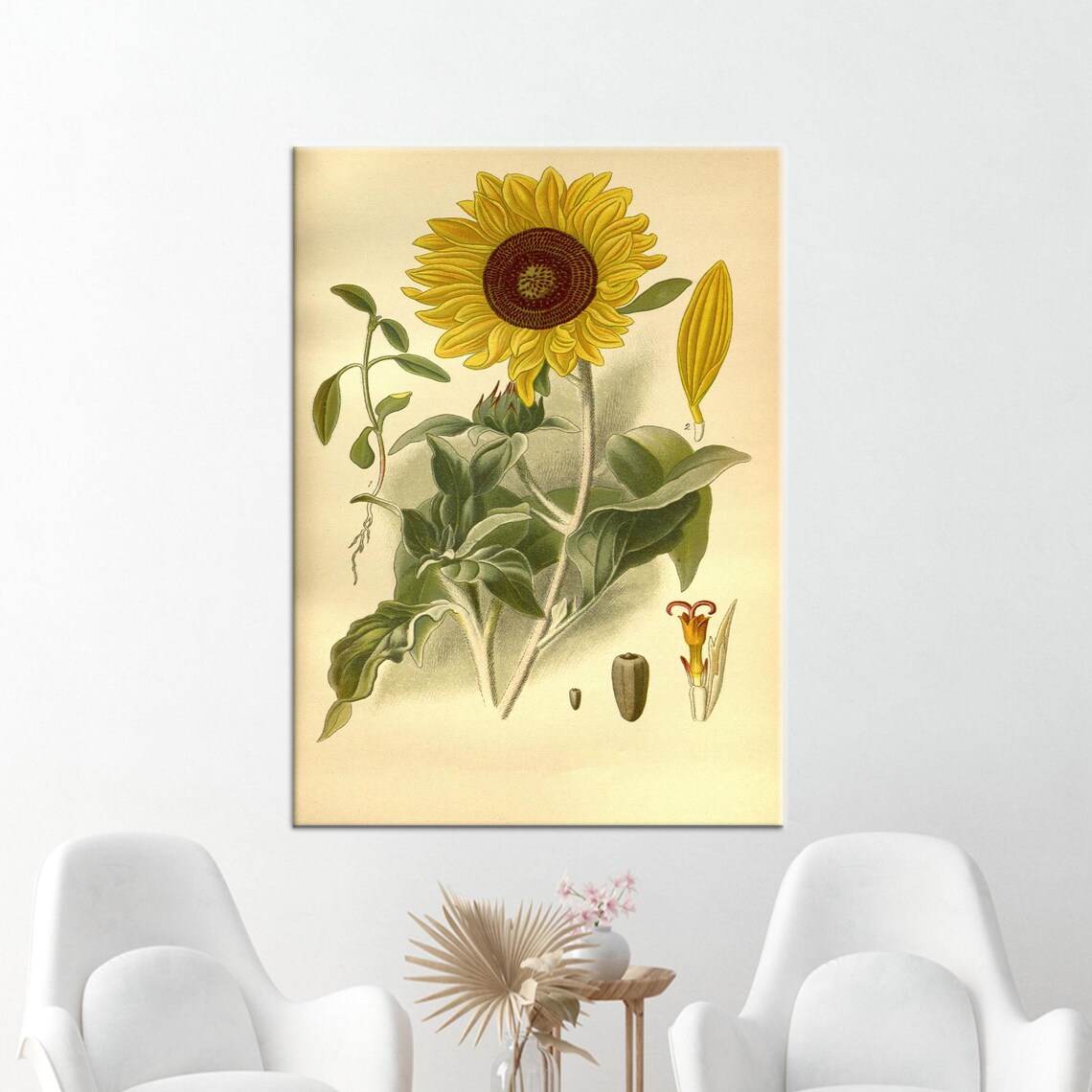 Vintage Sunflower Botanical Illustration Classic Floral Wall Art