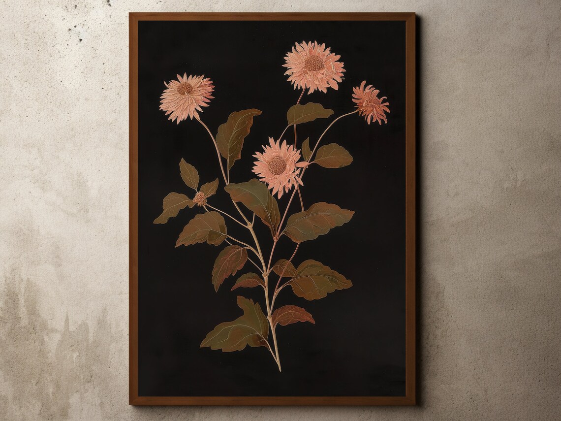 Pink Chrysanthemums On Black Vintage Botanical Flower Dark Elegant Wall Art