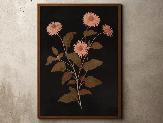 Pink Chrysanthemums On Black Vintage Botanical Flower Dark Elegant Wall Art