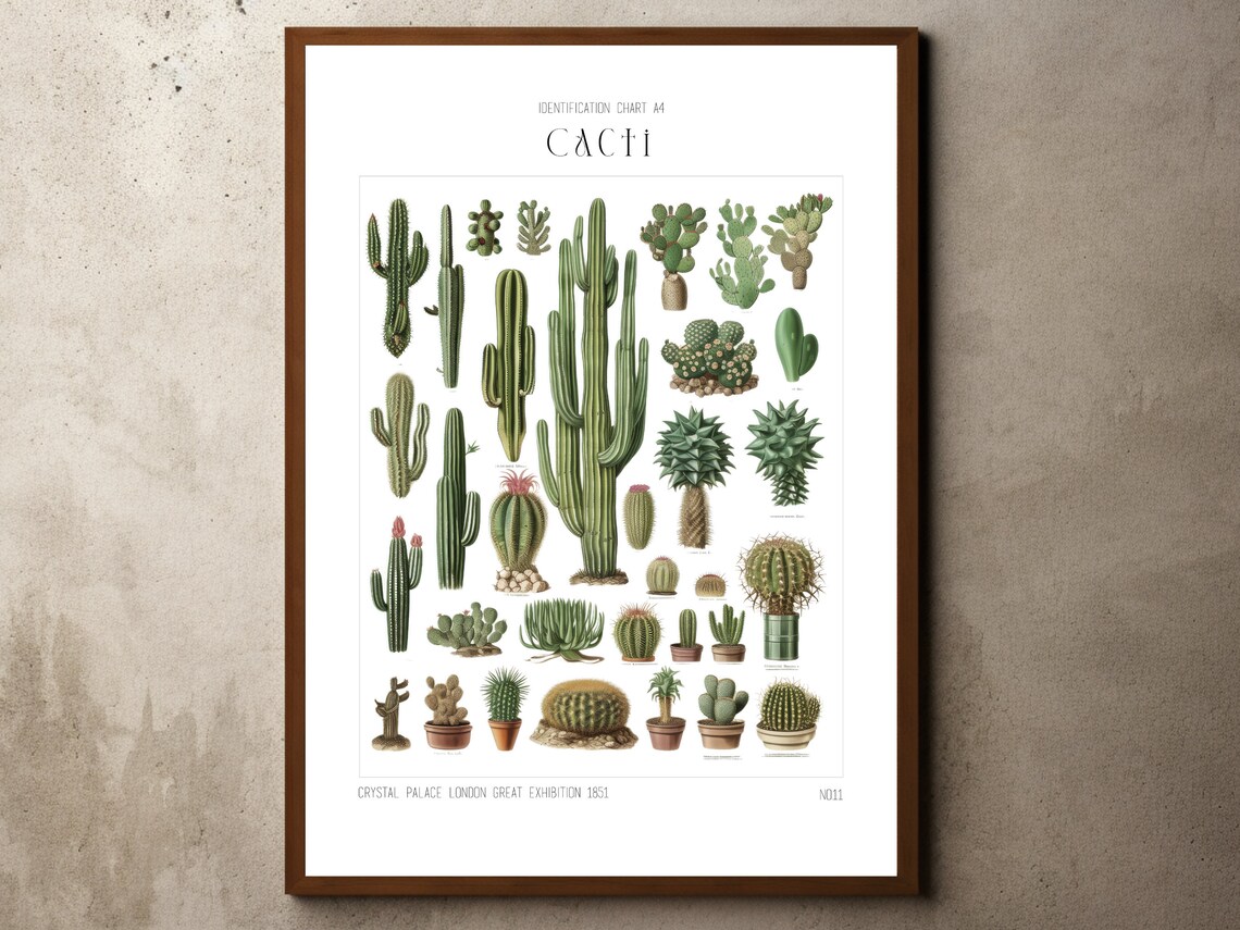 Tropical Decor Jungle Print Botanical Wall Art Cactus Cacti Prints Nature Poster Ernst Haeckel Plants