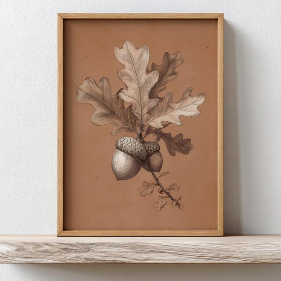 Warm Vintage Style Acorn Print Fall Botanical Wall Art Cozy Autumn Farmhouse Decor Neutral Brown Oak Illustration Home