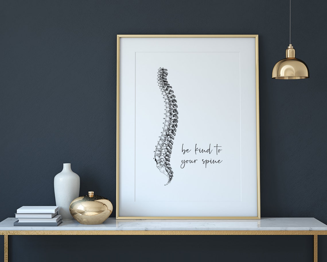 Be Kind To Your Spine Anatomy Illustration Chiropractor Gift Poster - Image 2