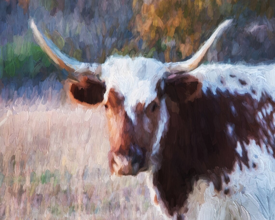 Texas Longhorn Cow Head Close Up Painterly Farm Animal Art Poster