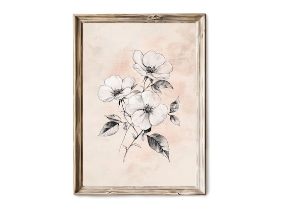 White Wild Roses Ink Sketch Blush Botanical Minimalist Art Poster