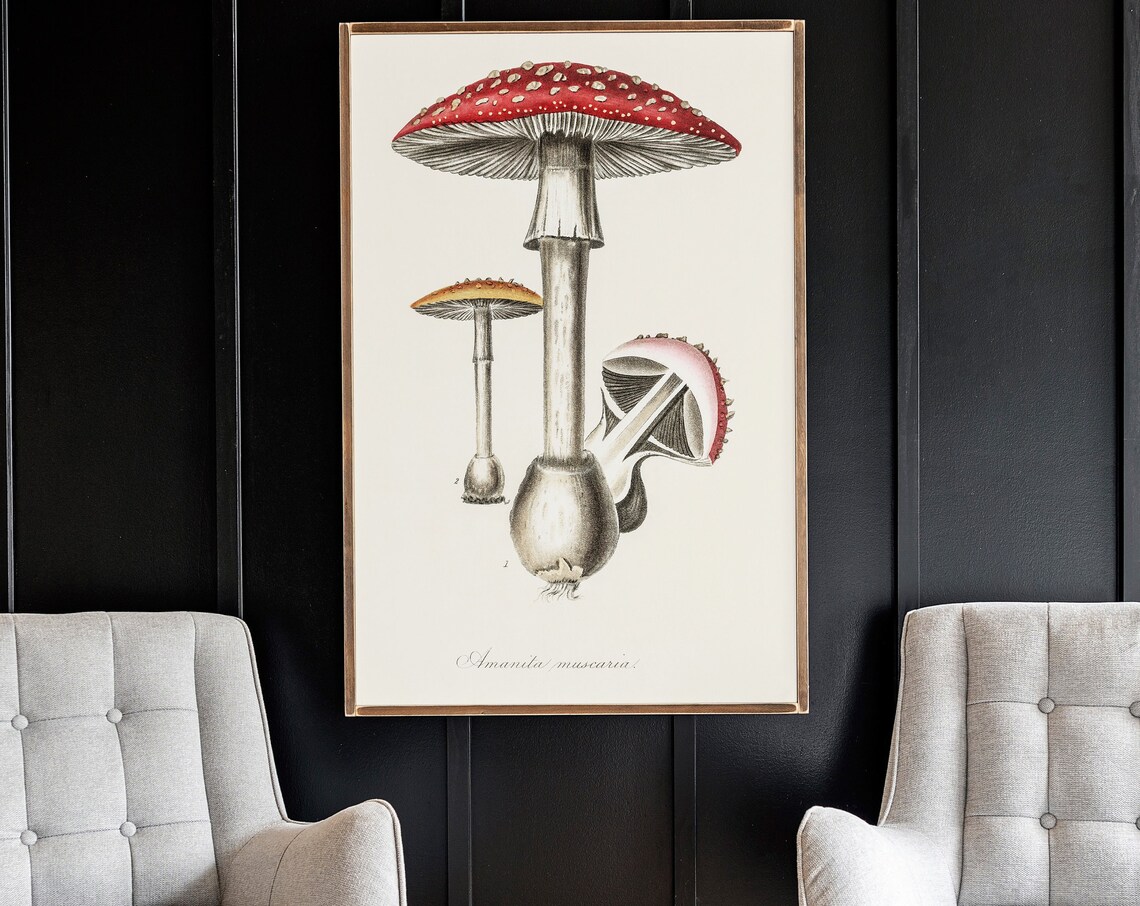 Vintage Mushrooms Art Print, Mushroom Wall Decor