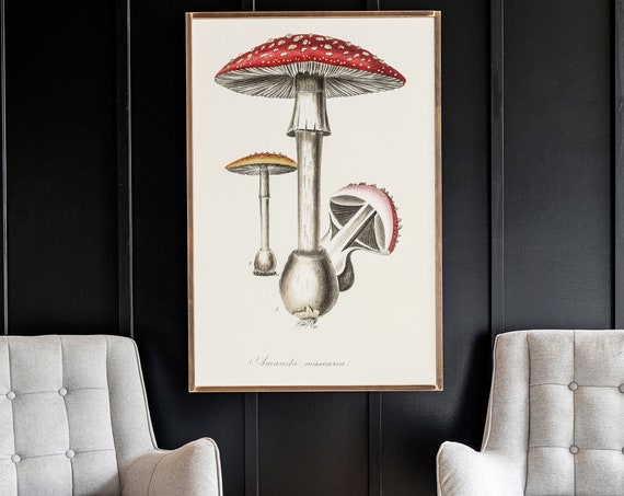 Vintage Mushrooms Art Print, Mushroom Wall Decor
