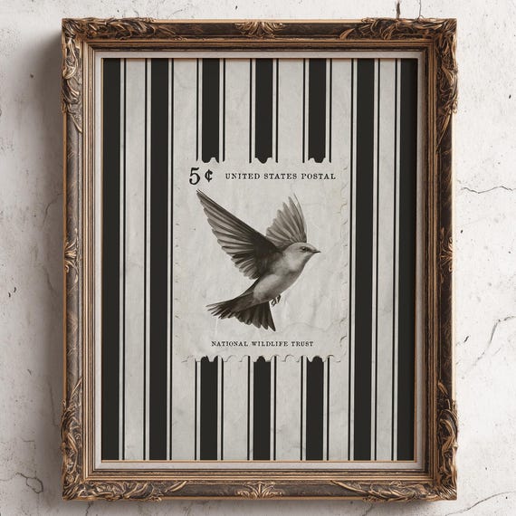 Vintage Bird Print Antique Illustration Neutral Minimalist Wall Decor Living Room Art Rustic Farmhouse