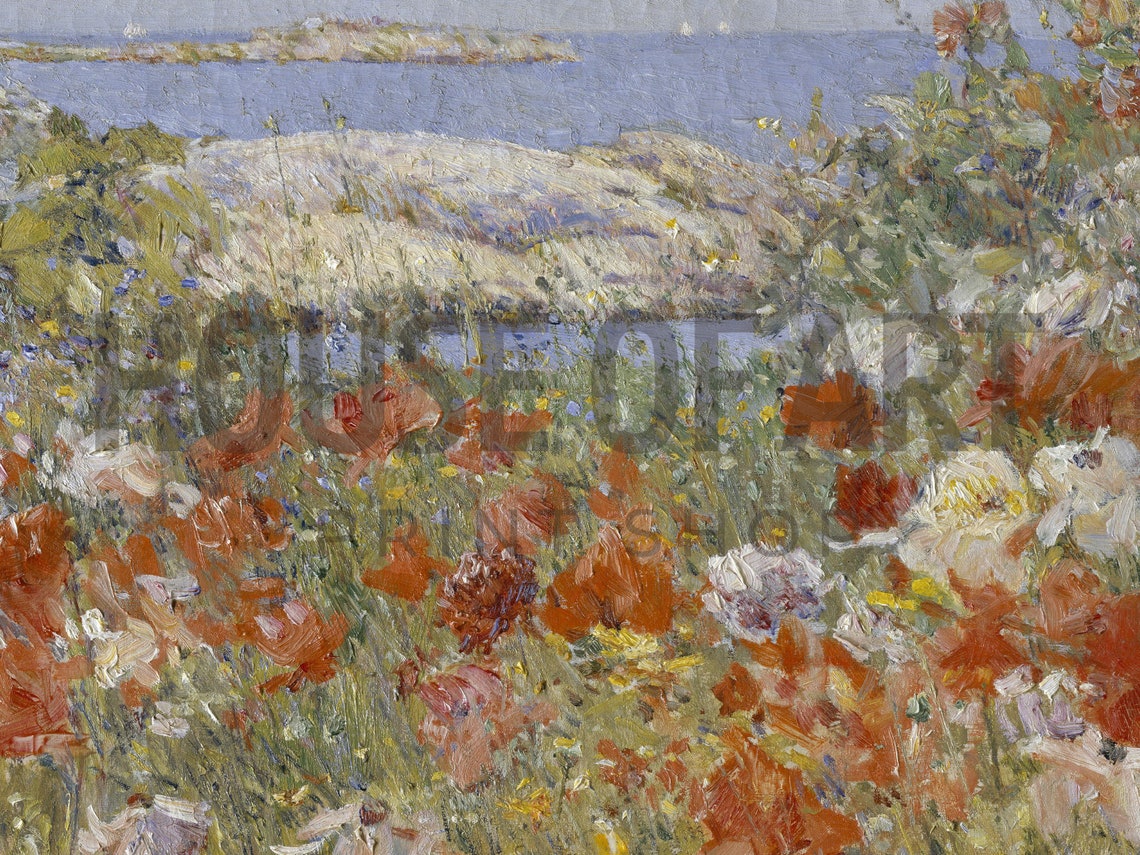 Wild Poppies By The Sea Coastal Flower Field Impressionist Art Print - Image 2