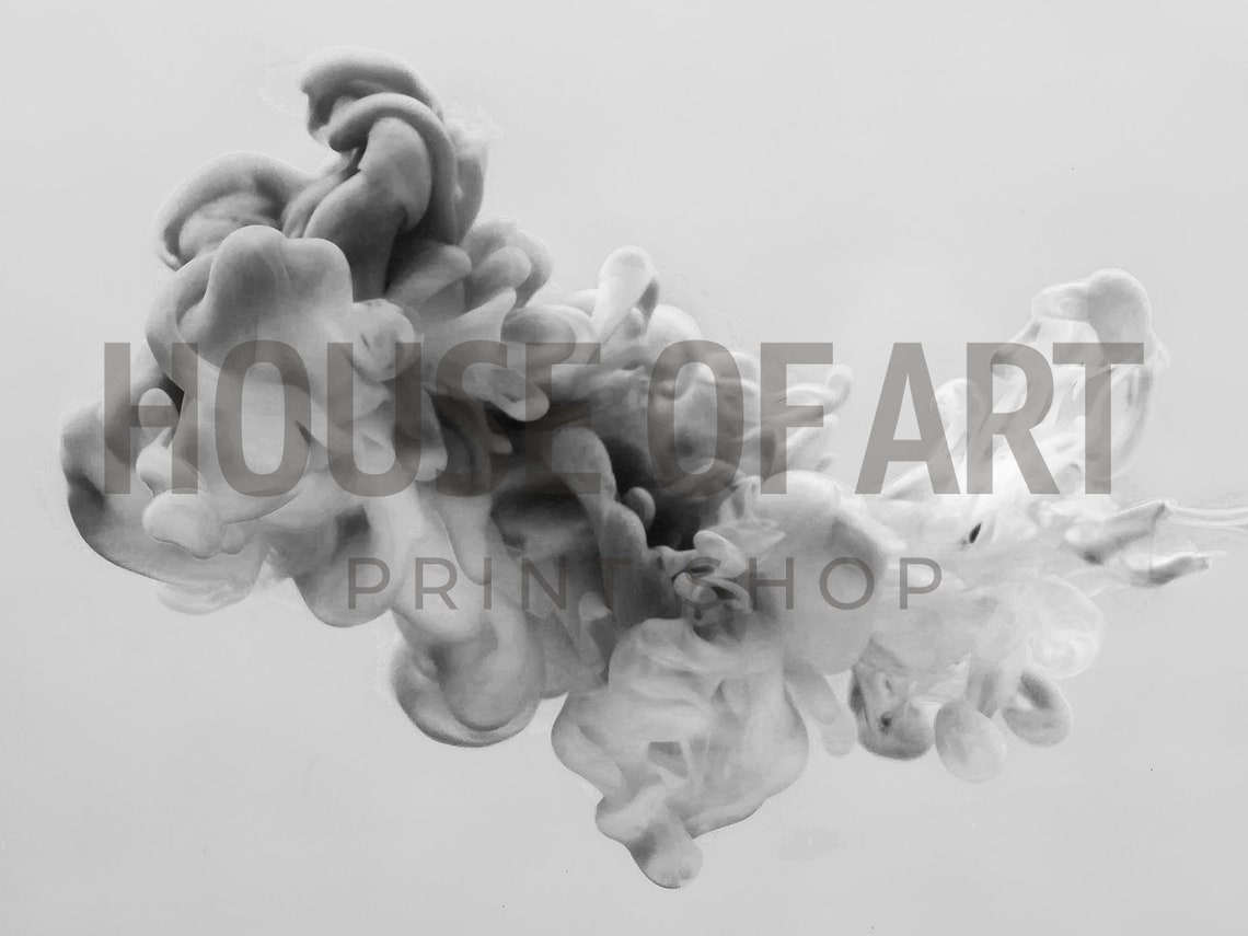 Abstract Black And White Ink Cloud In Water Photography Wall Art Print - Image 2