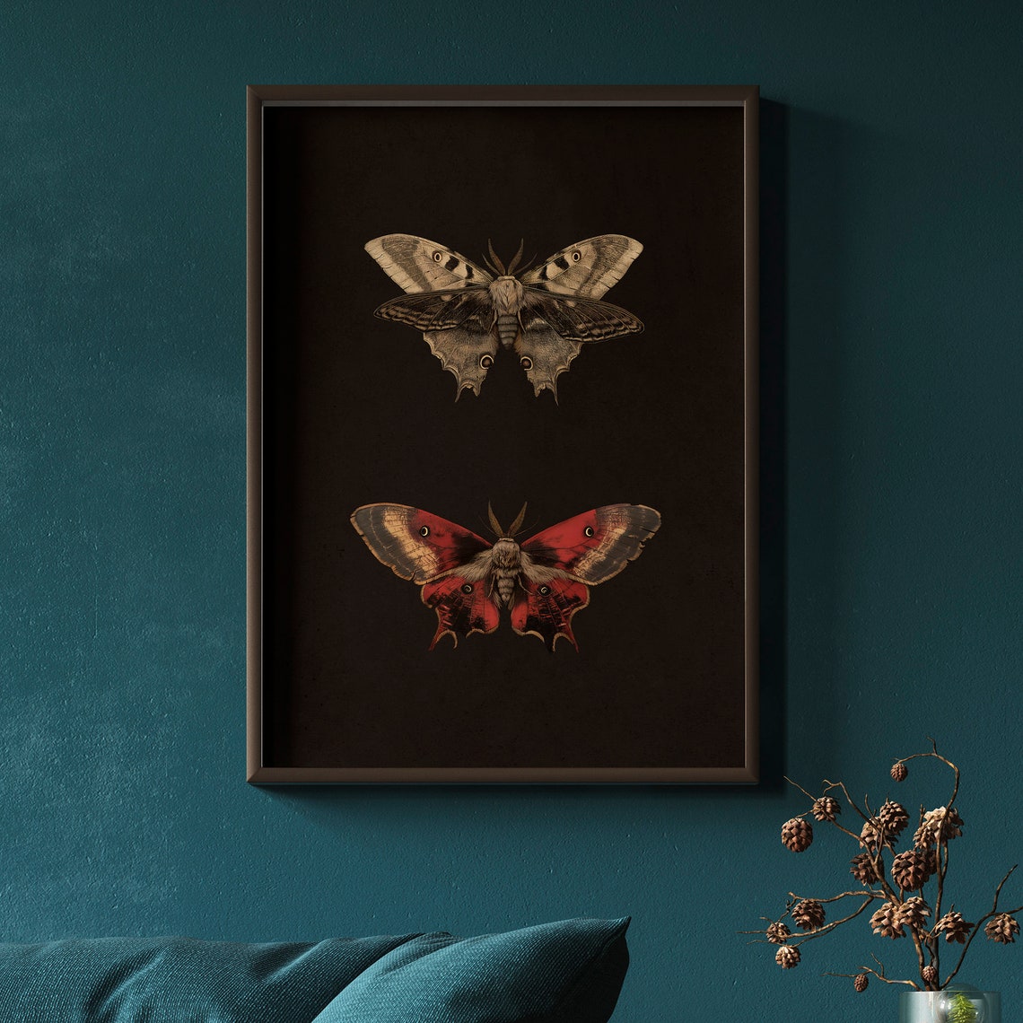 Two Moths on Black Vintage Entomology Insect Study Art Print - Image 2