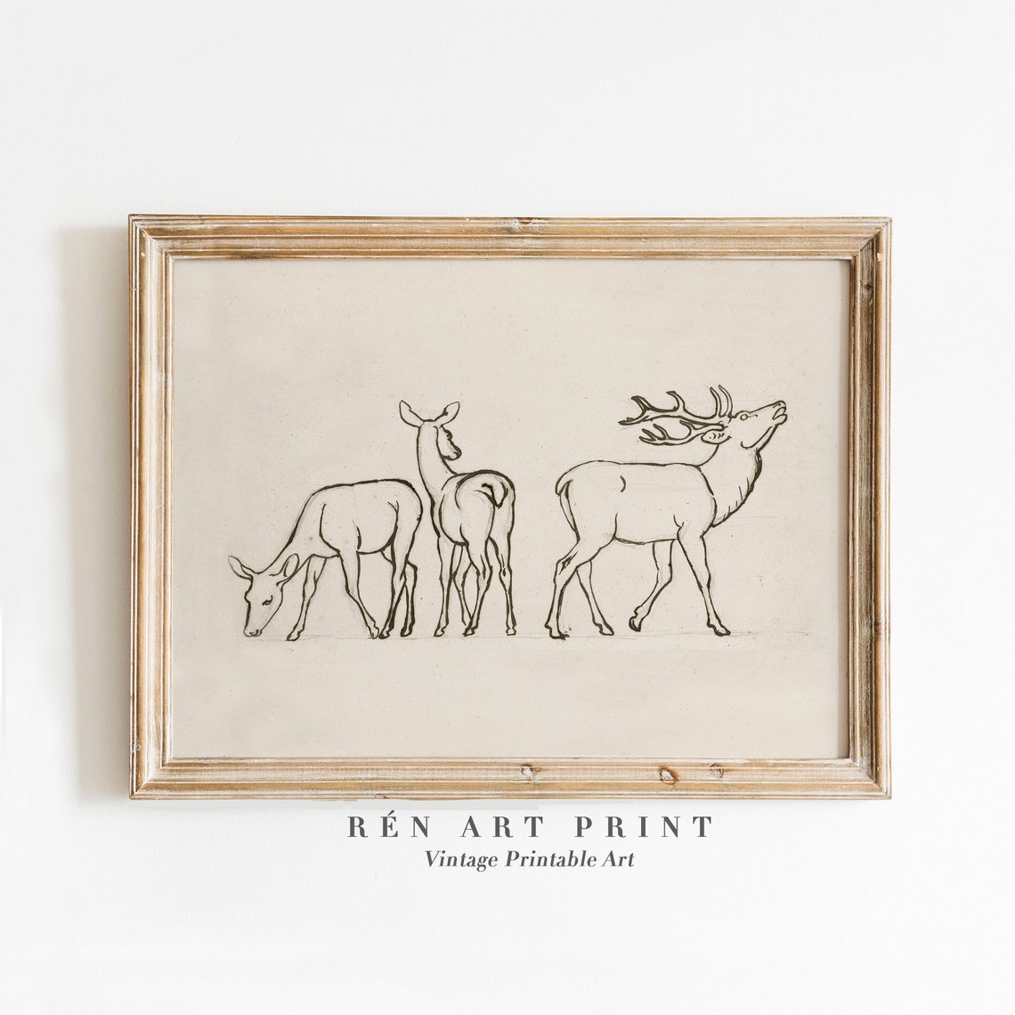 Deer Line Drawing Vintage Minimalist Stag Hind Sketch Nursery Poster