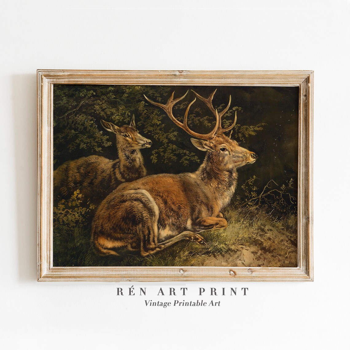 Resting Stag and Doe Antique Forest Wildlife Painting Poster
