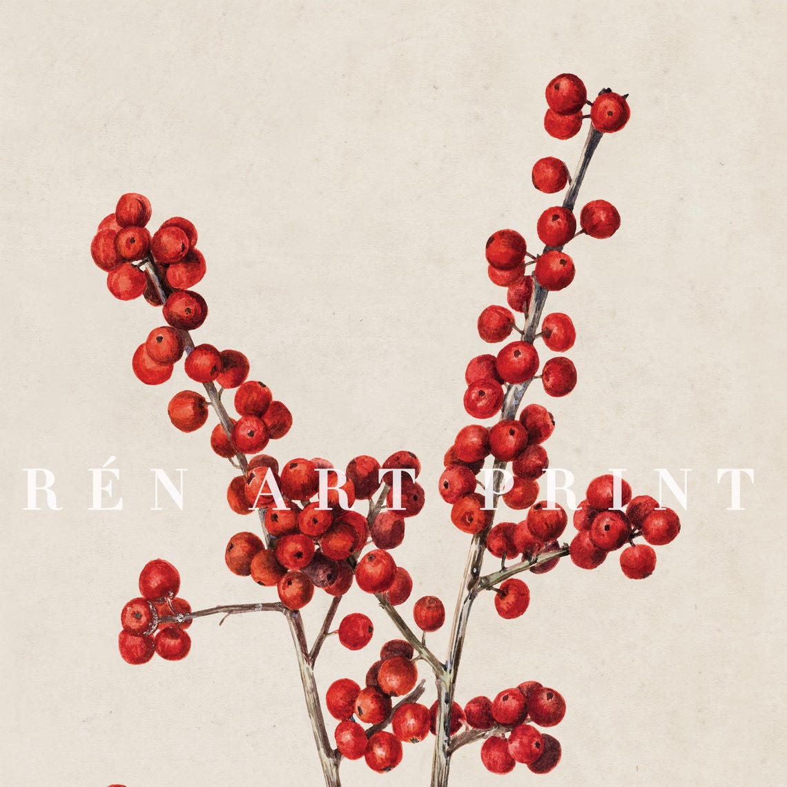 Red Winterberry Branches Vintage Botanical Christmas Art Print - Image 3