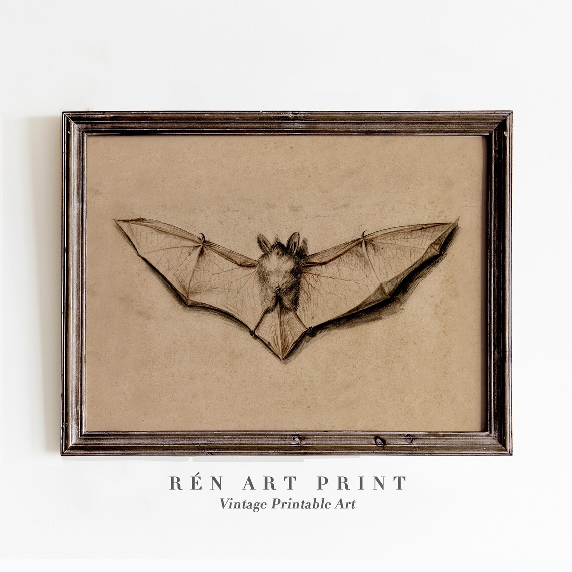 Vintage Bat Print, Antique Halloween Poster