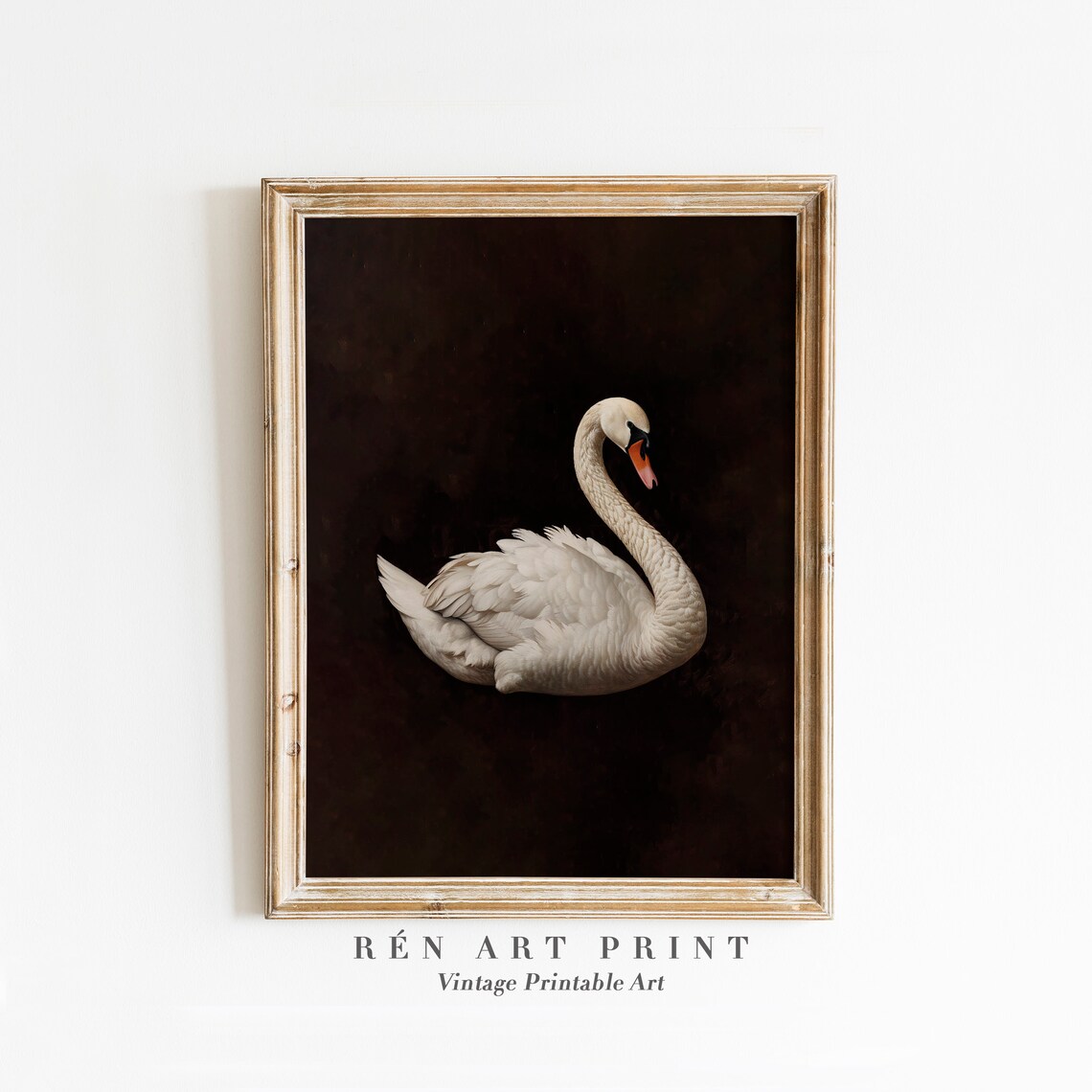 Dark Swan Vintage Nursery Wall Art Print
