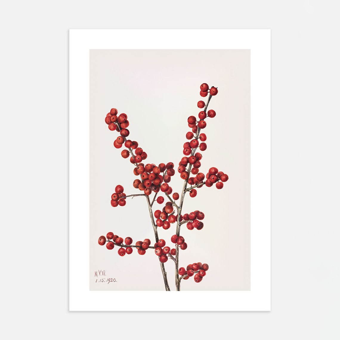 Vintage Red Winter Berry Branches Botanical Illustration Poster - Image 4