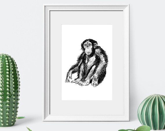 Chimpanzee Black And White Ink Sketch Wildlife Portrait Minimal Poster