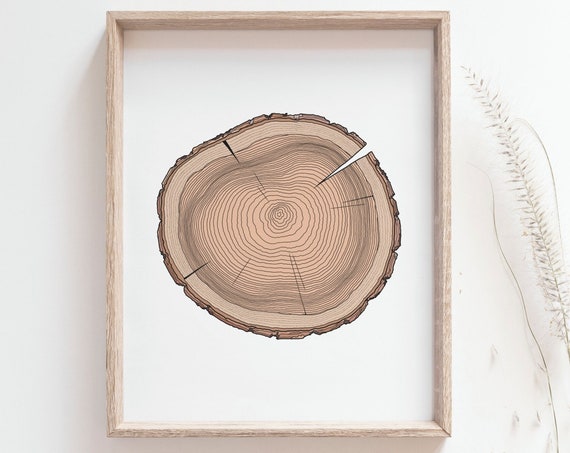 Tree Ring Print, Rustic Woodland Botanical Poster