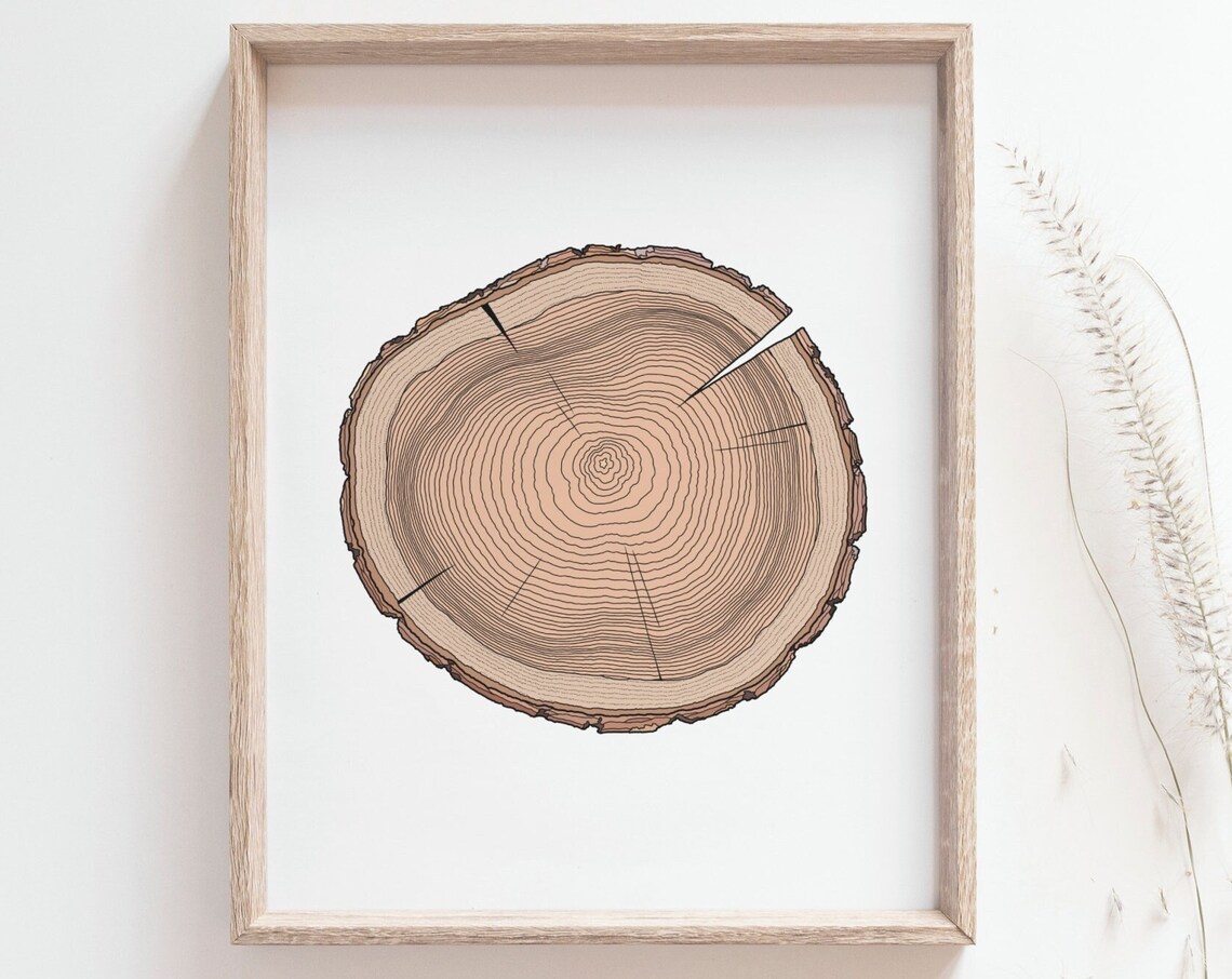Tree Ring Print, Rustic Woodland Botanical Art