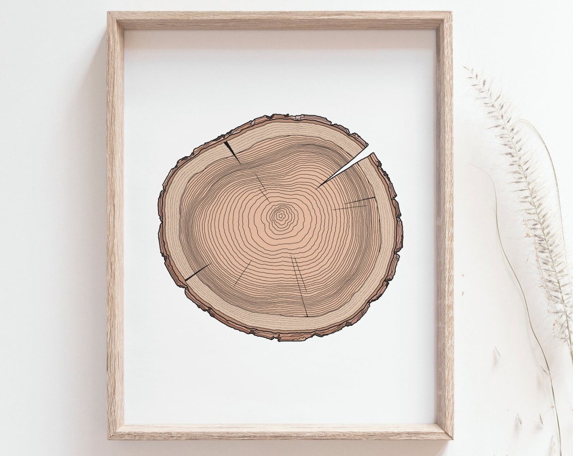 Tree Ring Print, Rustic Woodland Botanical Poster