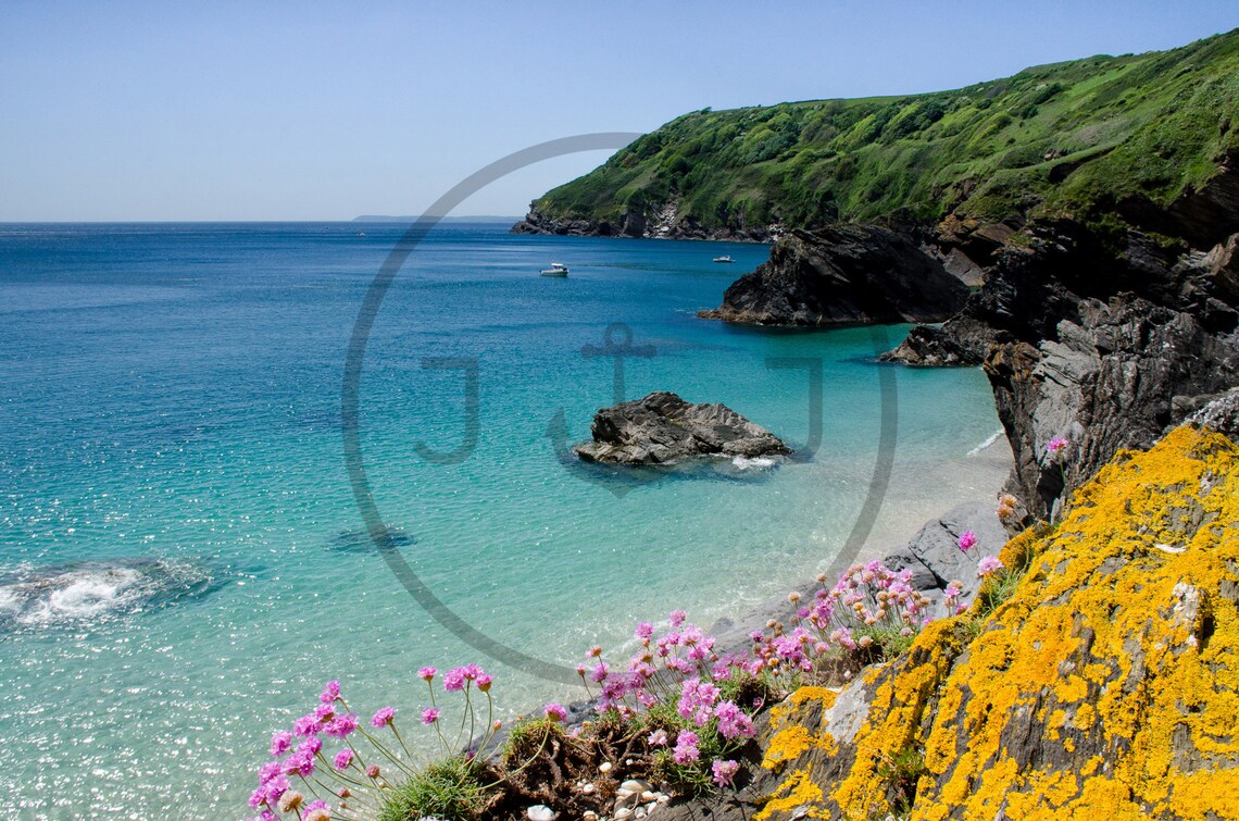Lantic Bay Cornwall Summer Turquoise Sea Wildflower Cliffs Poster - Image 3