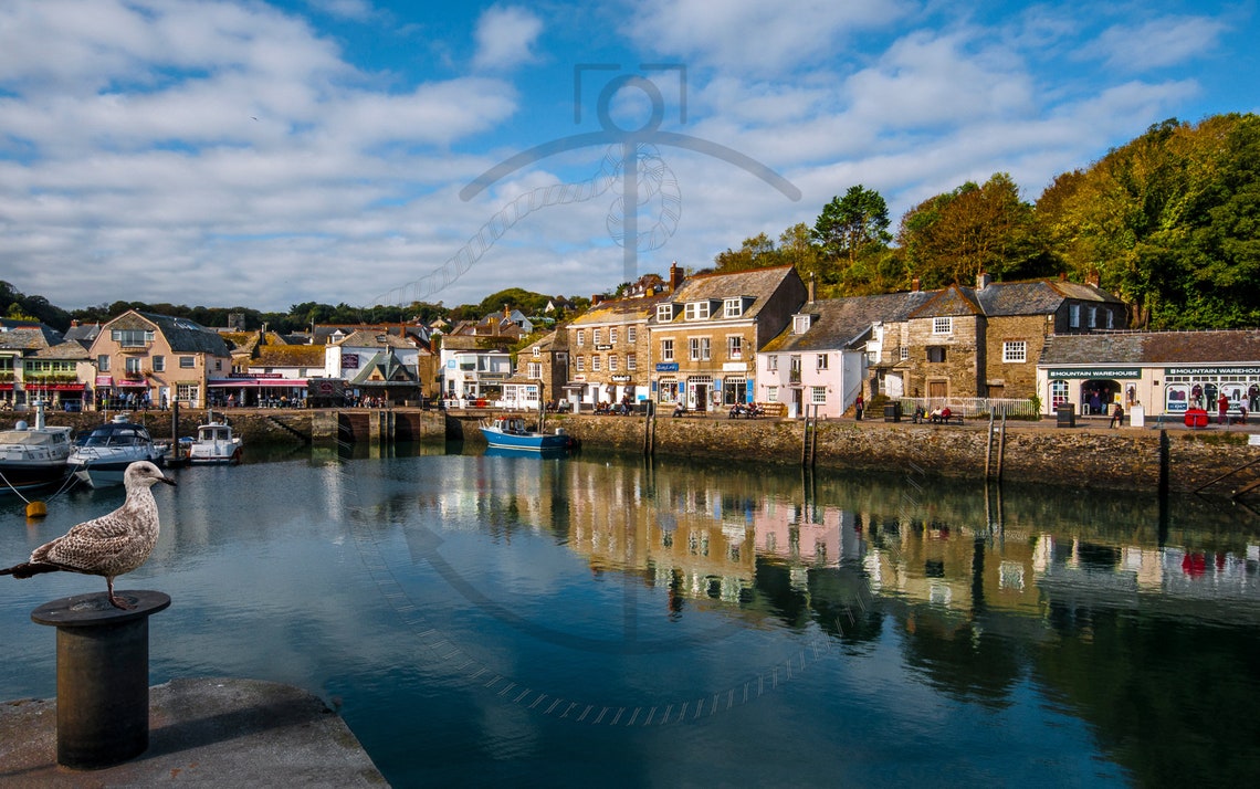 Padstow Harbour Cornwall Seagull Over Boats Waterfront Scene Poster - Image 3