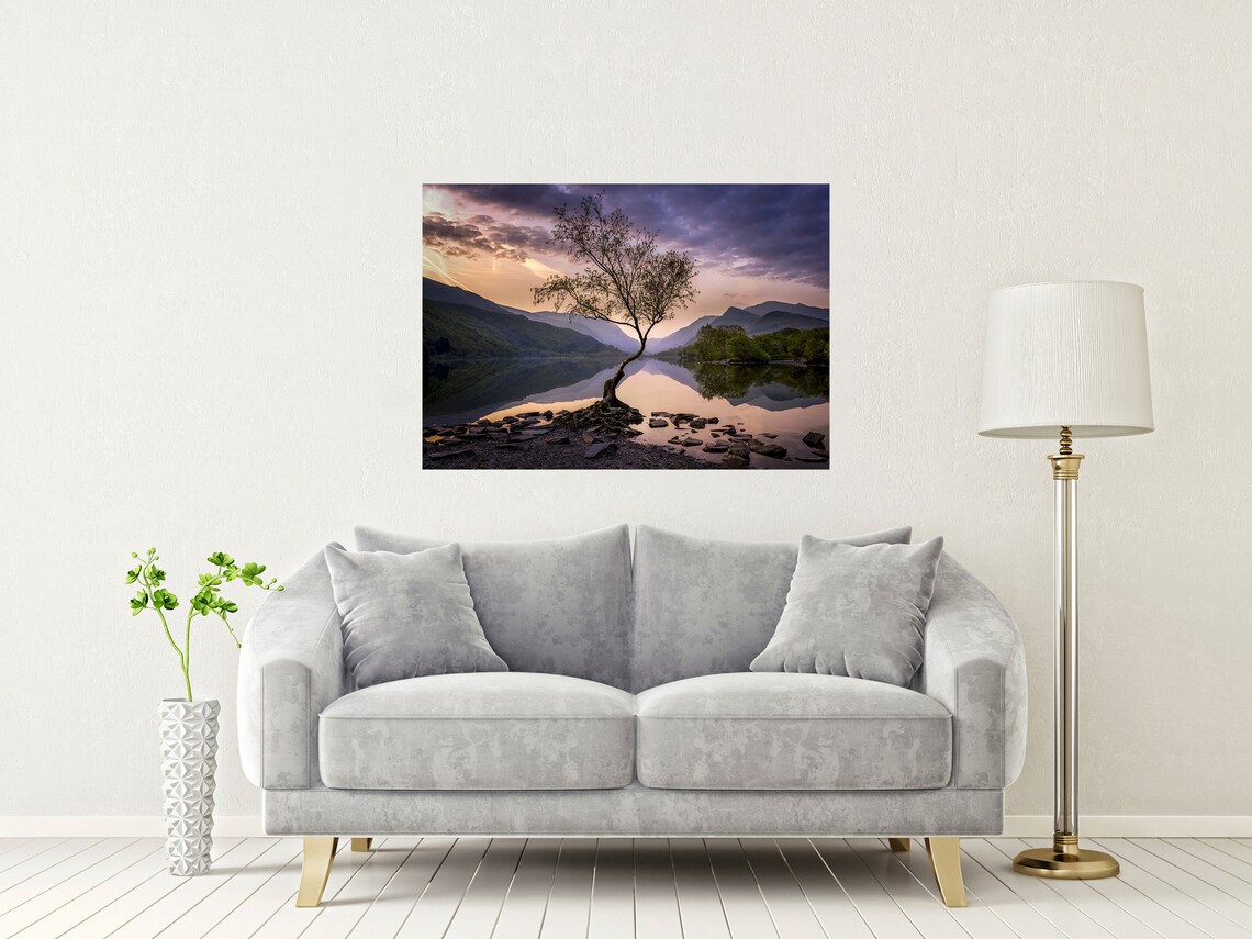 Lone Tree, Llyn Padarn Caernarfon Wales Art Print - Image 2