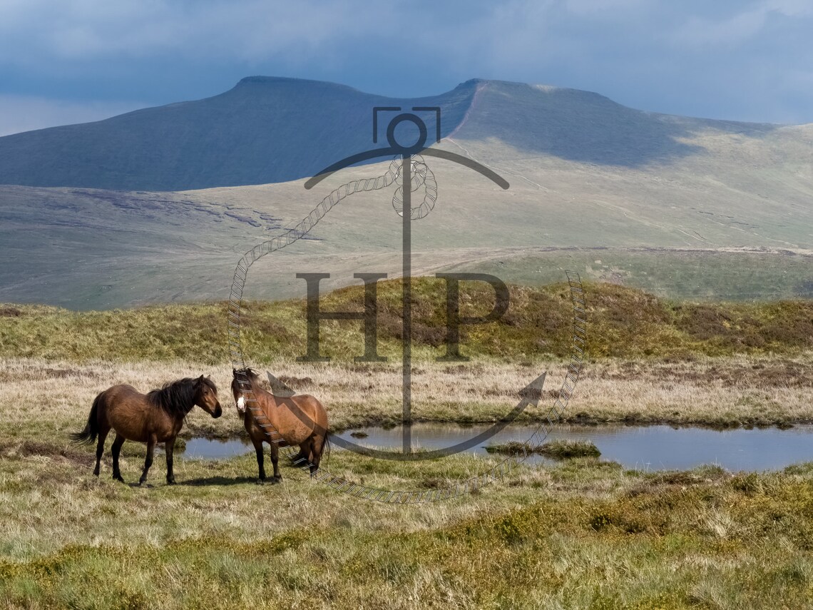Pen Y Fan Wales Wild Ponies Mountain Moorland Landscape Poster - Image 3