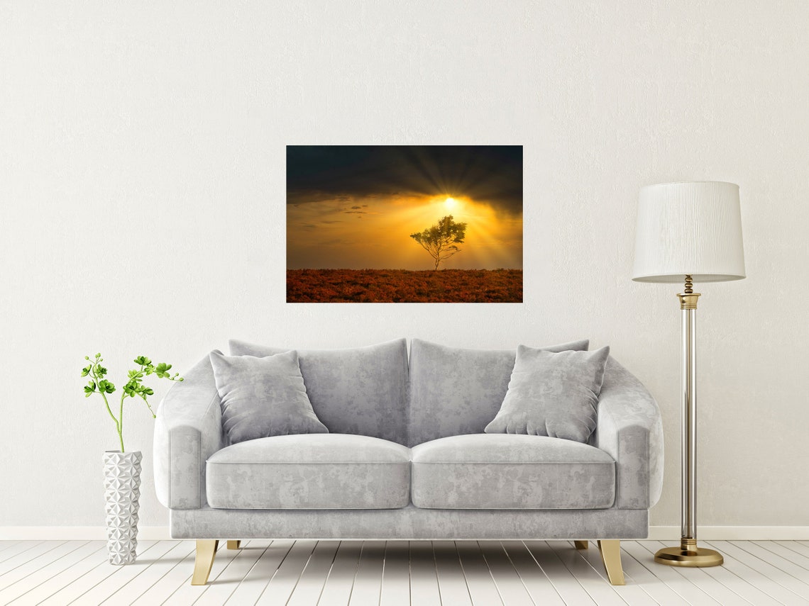 New Forest Hampshire Lone Tree Glowing Sunset Golden Sky Poster - Image 2