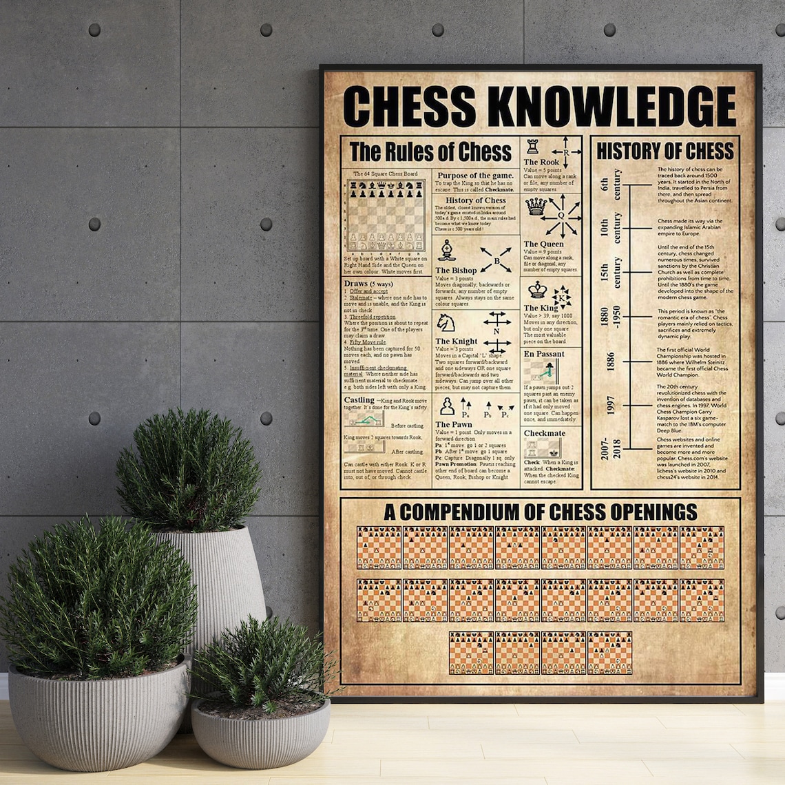 Chess Rules and History Poster, Opening Compendium - Image 3