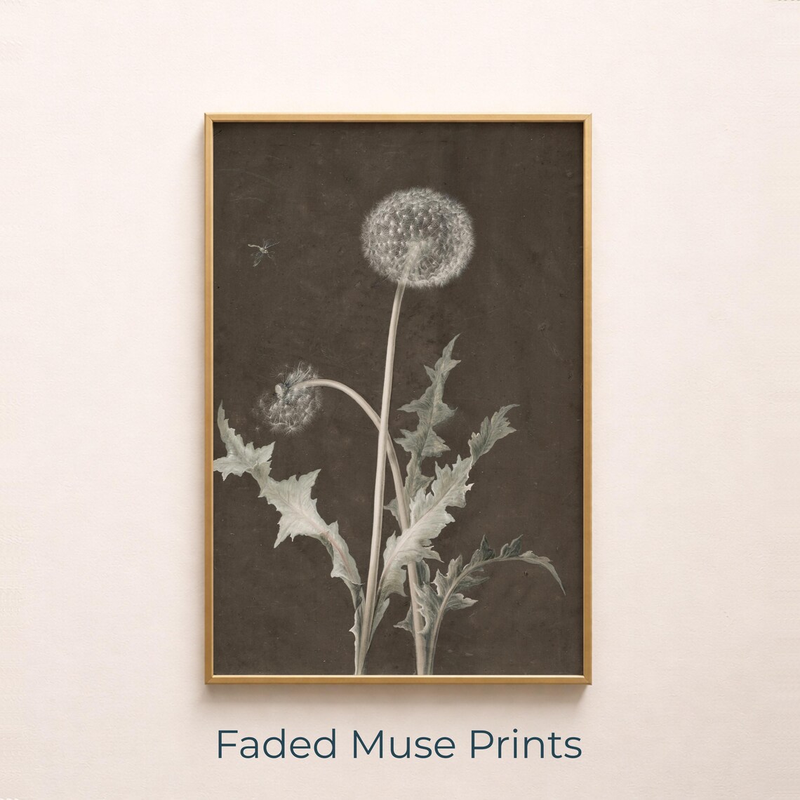Vintage Dandelion Botanical Illustration Monochrome Dark Floral Art Poster
