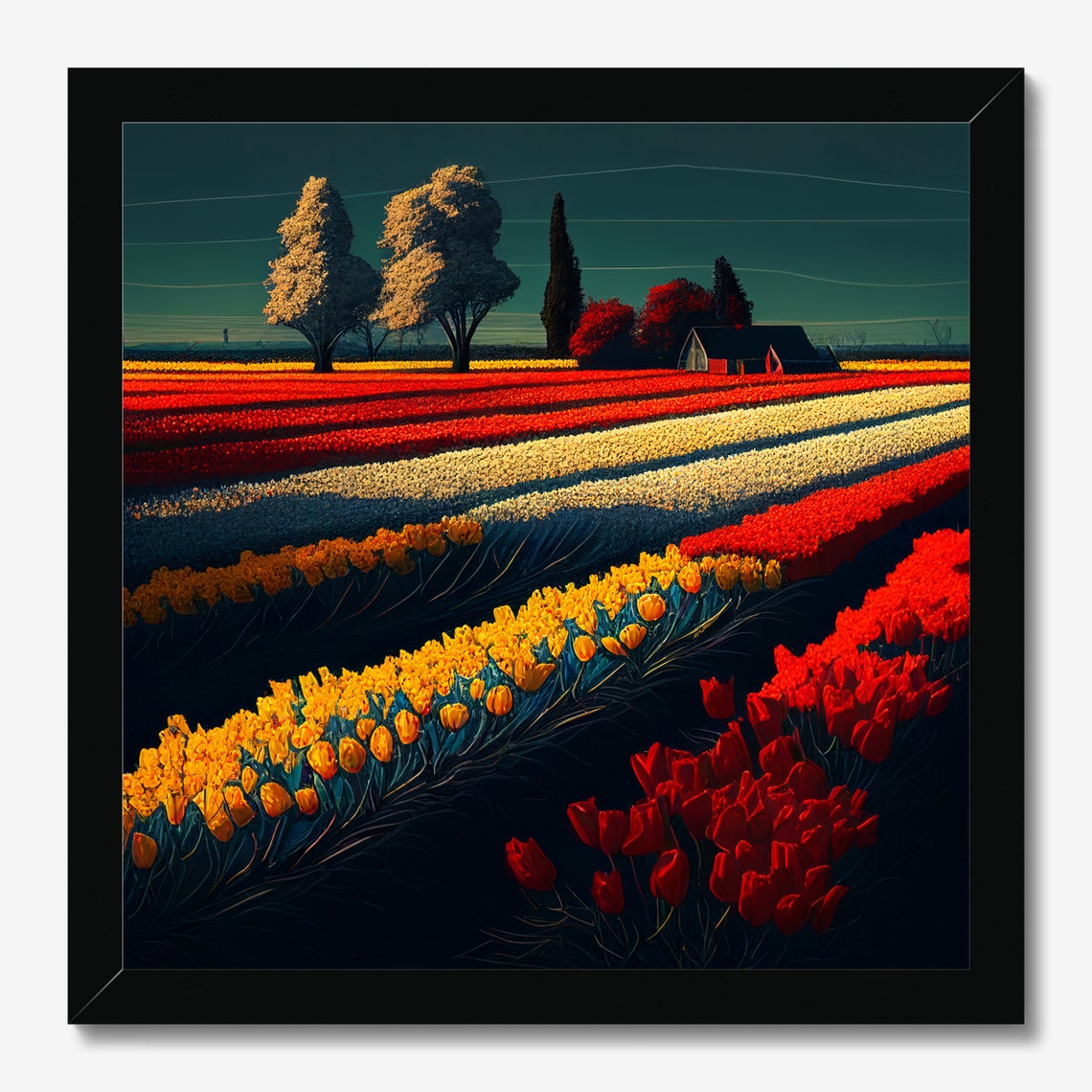 Striped Tulip Field Rows at Night with Red Barn Landscape Art Poster